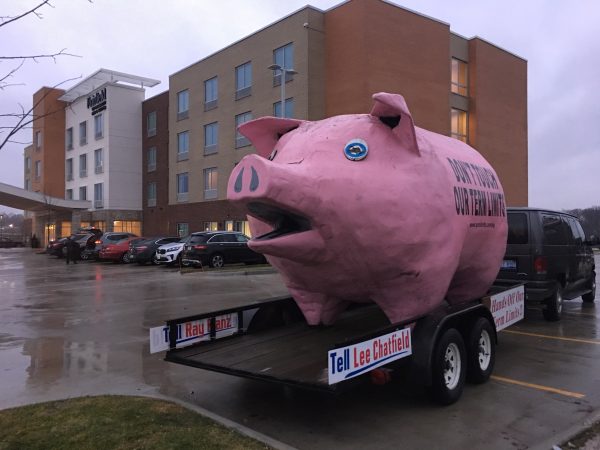 Michigan Hog protests anti term limits maneuver by state legislators