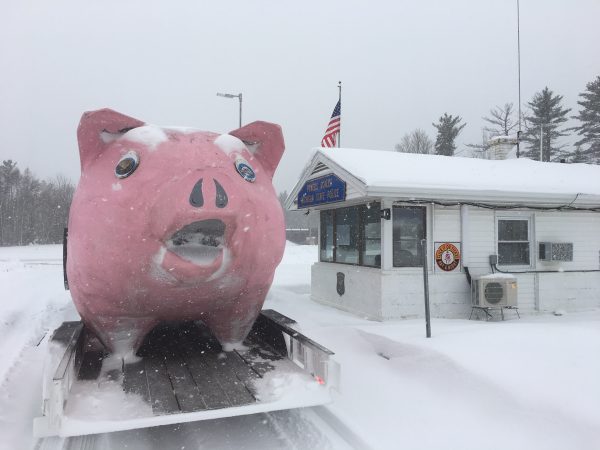 Wasted Wilbur drunk on power